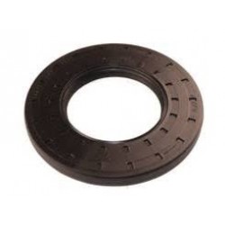 ARAZİ ŞANZIMAN KEÇESİ