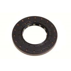 ŞANZUMAN KUYRUK KEÇESİ