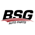BSG