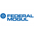 FEDERAL MOGUL